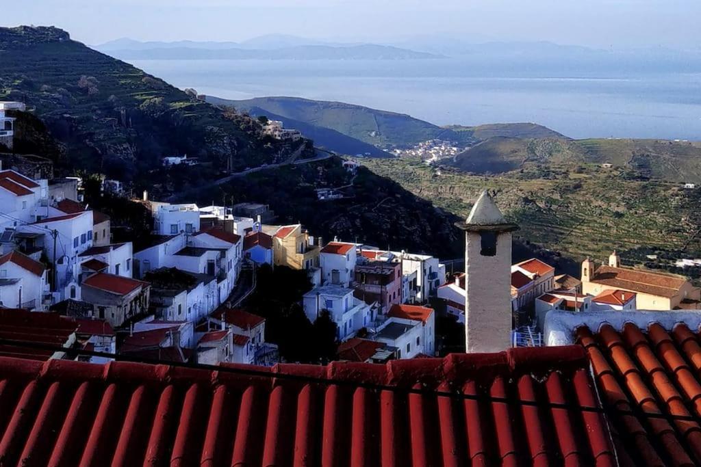 Vila The House Of Grandma Zinios Ioulis Exteriér fotografie